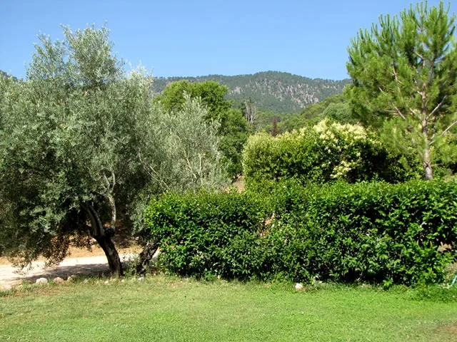 CORTIJO DEL CURA - GUADALIMAR en SEGURA DE LA SIERRA — miniatura 27