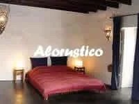 ESTUDIO ALOE en LANZAROTE-LUCAS — miniatura 4