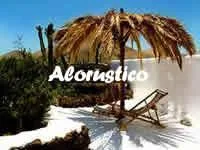 ESTUDIO ALOE en LANZAROTE-LUCAS — miniatura 6