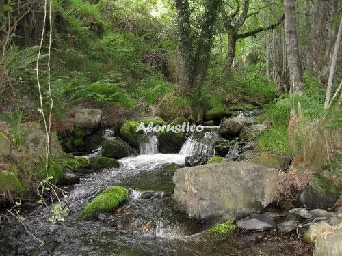 CASA NOCEDITA en NOCEDA DEL BIERZO — miniatura 4