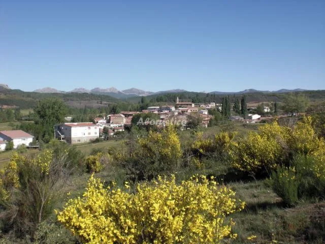 VALLE DEL TUÉJAR- MATRIMONIO ABUHARDILLADA en TARANILLA — miniatura 17
