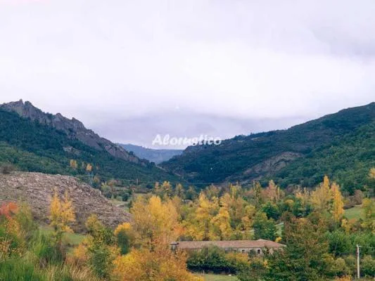 VALLE DEL TUÉJAR- MATRIMONIO ABUHARDILLADA en TARANILLA — miniatura 20
