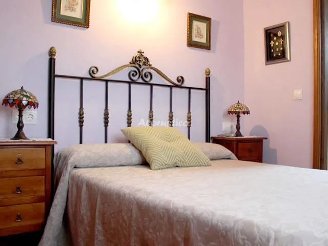 VALLE DEL TUÉJAR- MATRIMONIO ABUHARDILLADA en TARANILLA — miniatura 22