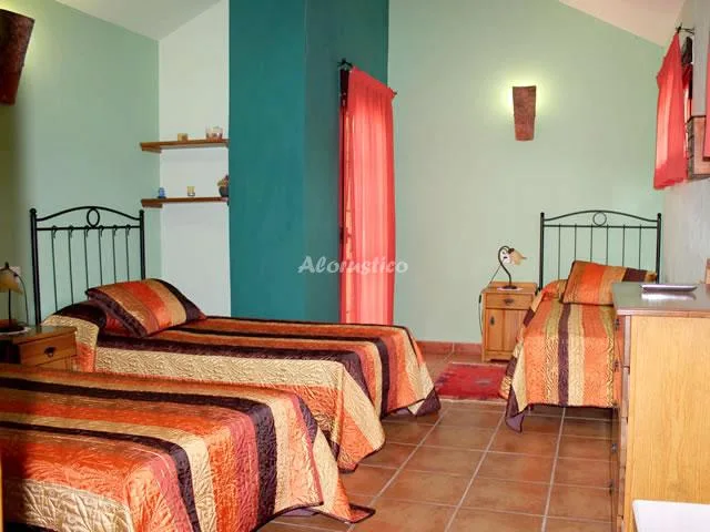 VALLE DEL TUÉJAR- MATRIMONIO ABUHARDILLADA en TARANILLA — miniatura 6