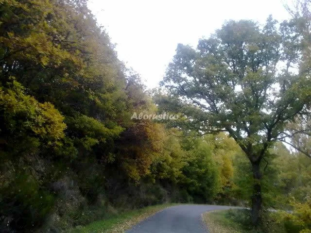 APTO AGUAS FRÍAS I en LA OMAÑUELA — foto 2