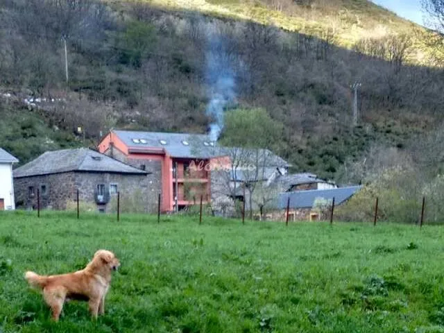 CASA ANTONIO Y BENINA en VILLABLINO — foto 2