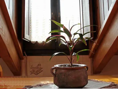 CASA LA COMELLA 1 en BARRUERA — foto 3
