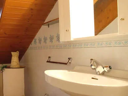 CASA LA COMELLA 1 en BARRUERA — miniatura 10