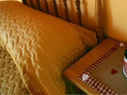 CASA LA COMELLA 1 en BARRUERA — miniatura 6