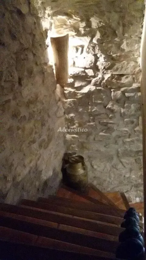 CASA XAVI en PALLARS JUSSÁ — miniatura 6