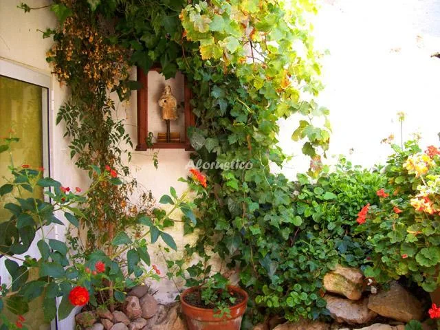 EL PATIO DE LA CALLE DE LA IGLESIA en COMARES — miniatura 12