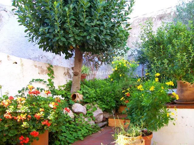 EL PATIO DE LA CALLE DE LA IGLESIA en COMARES — miniatura 5