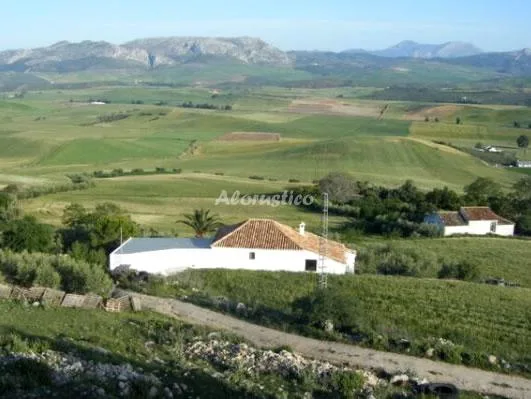 HUERTA LA LAPA en CAÑETE LA REAL — miniatura 31