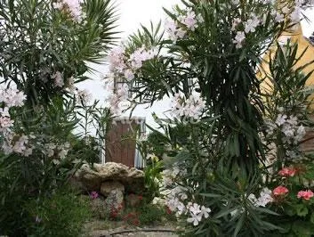 HUERTA LA LAPA en CAÑETE LA REAL — miniatura 40