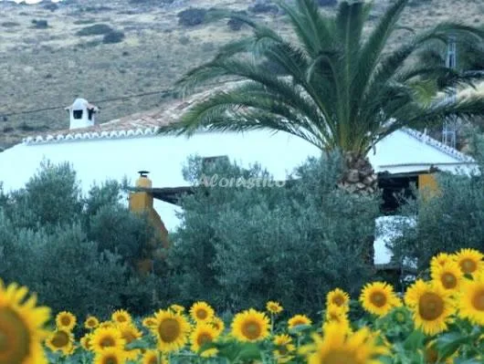 HUERTA LA LAPA en CAÑETE LA REAL — miniatura 32