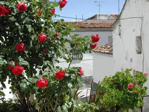 CASA PEDRO en MONTEJAQUE — miniatura 9