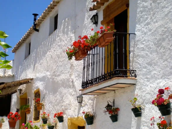 CORTIJO PULGARIN. CASA APRISCO en ALFARNATEJO — miniatura 10