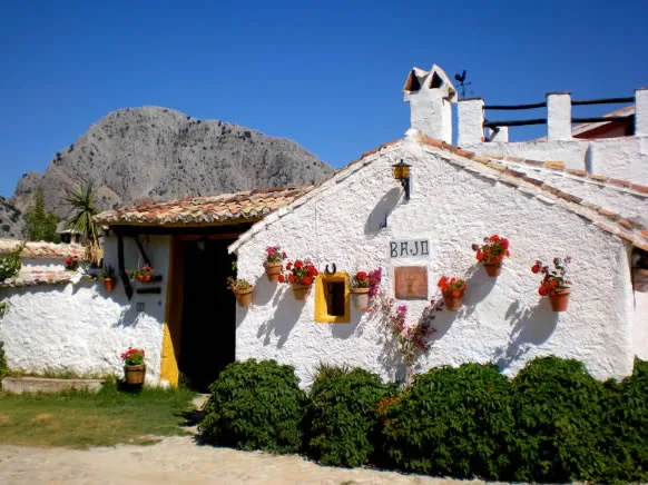 CORTIJO PULGARIN. CASA APRISCO en ALFARNATEJO — miniatura 13