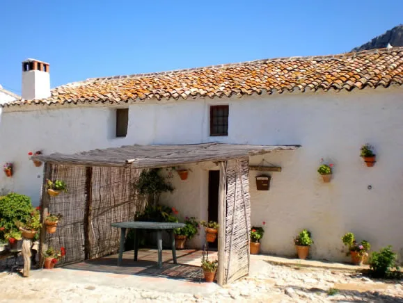 CORTIJO PULGARIN. CASA APRISCO en ALFARNATEJO — miniatura 5