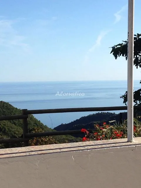 CORTIJO MARÍA en NERJA — miniatura 6
