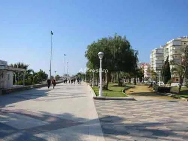 NATURALMENTE TORRE DEL MAR PARK en TORRE DEL MAR — miniatura 6