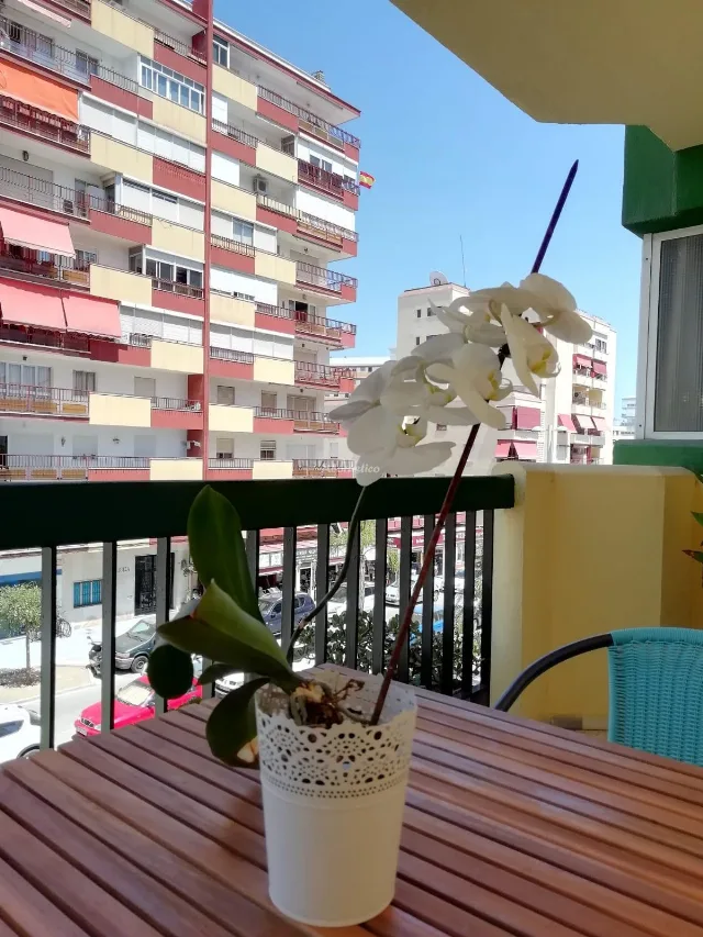Alojamiento turístico NATURALMENTE TORRE DEL MAR PARK en TORRE DEL MAR · MÁLAGA