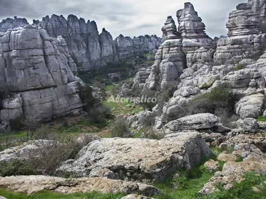 CASITAS DE CAÑOSANTO--QUEJIGO (DÚPLEX) en CAÑETE LA REAL — miniatura 10
