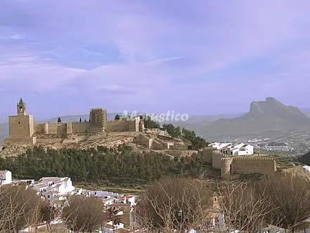 CASITAS DE CAÑOSANTO--QUEJIGO (DÚPLEX) en CAÑETE LA REAL — miniatura 15