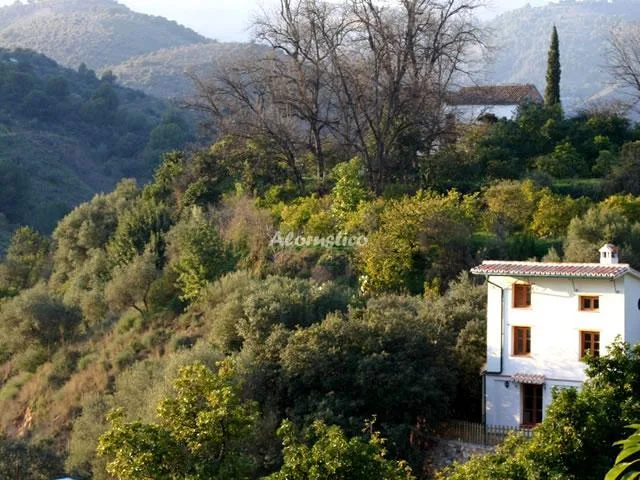 LA CASA DE LOS AGUACATES en TOLOX — miniatura 4
