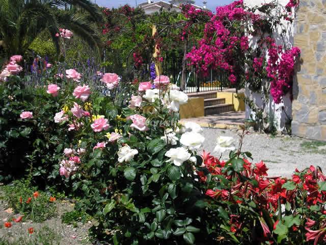 CASA CAÑAMERO en COÍN — foto 2