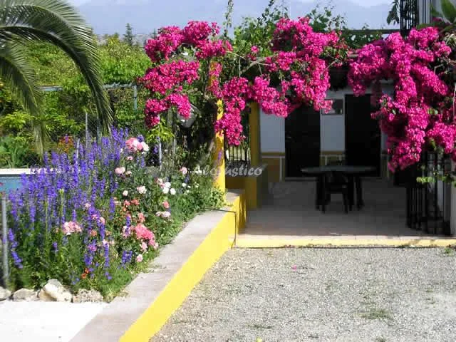 CASA CAÑAMERO en COÍN — miniatura 20