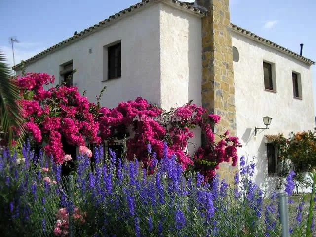 CASA CAÑAMERO en COÍN — foto 3