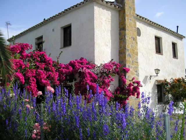 CASA CAÑAMERO en COÍN — foto 3