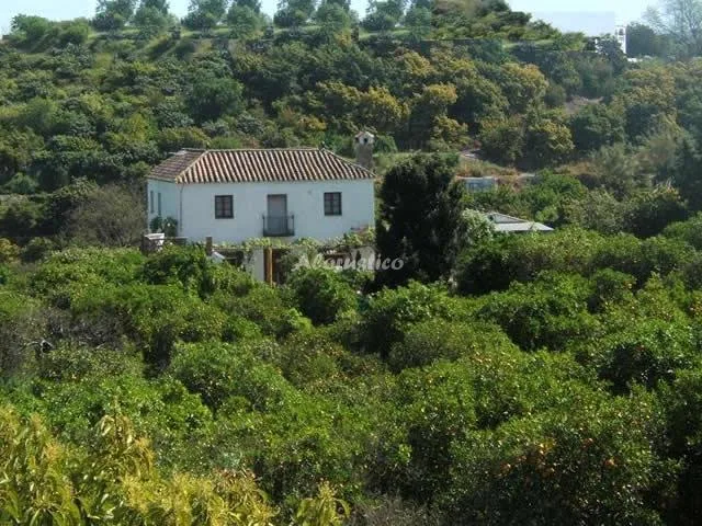 CASA CAÑAMERO en COÍN — miniatura 18