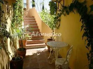 FINCA CARINA-BODEGA en FRIGILIANA — miniatura 16