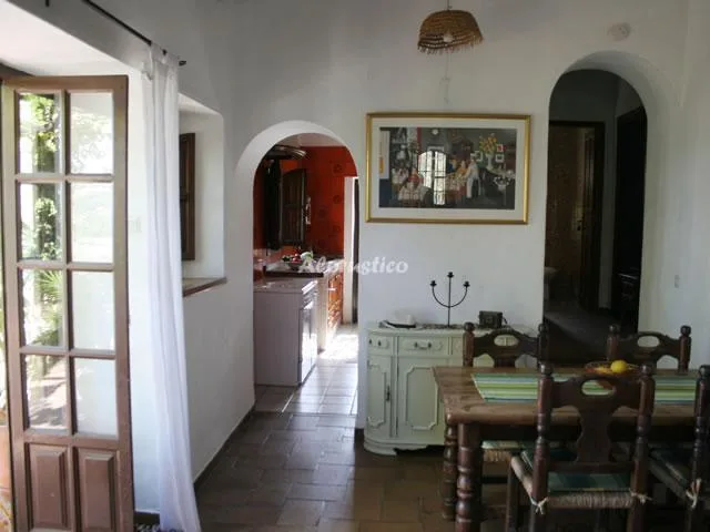 FINCA CARINA-BODEGA en FRIGILIANA — miniatura 18