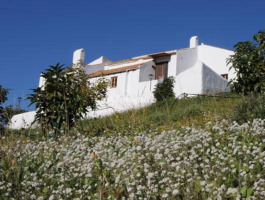 CASAS RURALES LA HUERTA-LA YEGÜERIZA PLANTA BAJA en CAMPANILLAS — miniatura 14
