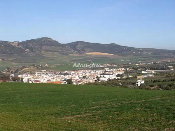 Alojamiento turístico VILLA ROBLE en ARRIATE · MÁLAGA