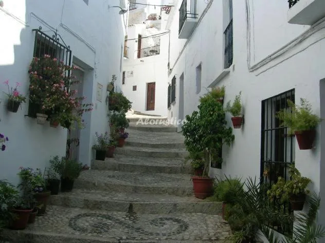 CORTIJO CUATRO CAMINOS en FRIGILIANA — miniatura 17