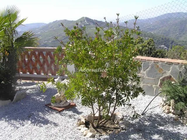 CORTIJO CUATRO CAMINOS en FRIGILIANA — miniatura 8