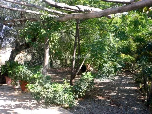 CASA EL CHORRITO en GUARO — foto 2