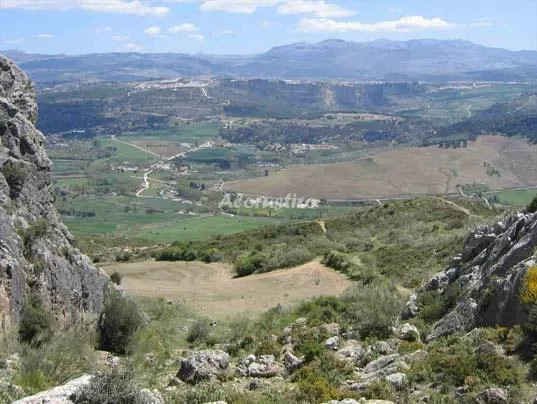 LA VEGUILLA en CUEVAS DEL BECERRO — miniatura 6