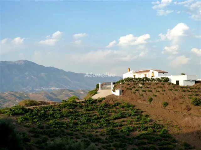 CASA BALCÓN DE LA AXARQUÍA en ALMÁCHAR — miniatura 7