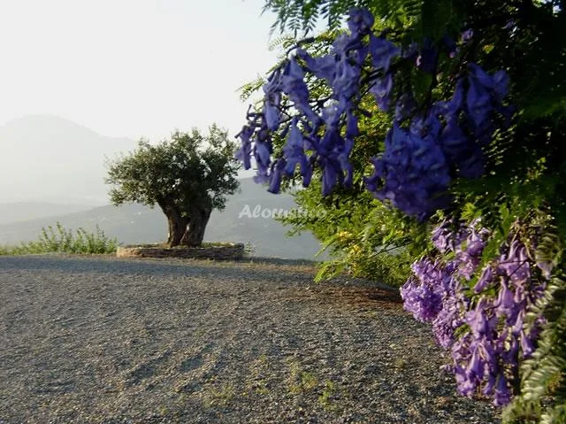 VILLA GALIANO en GUARO — miniatura 26