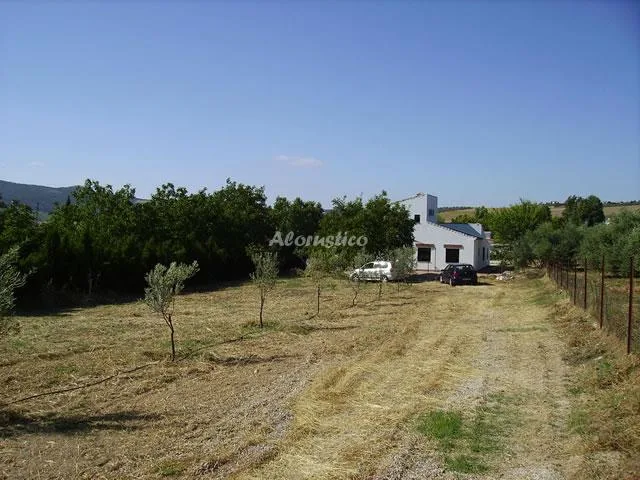 Alojamiento turístico CASA EL OLIVAR DE LOS ABUELOS en ARRIATE · MÁLAGA