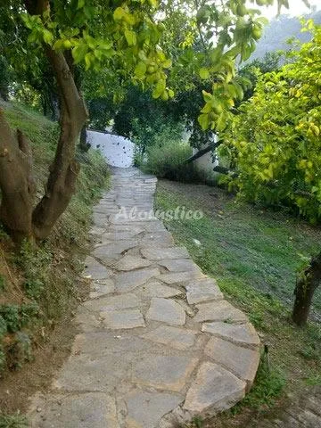 CASA EL MOLINO DE ACEITE en JUBRIQUE — miniatura 20