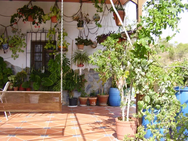 CASA LOS ROJAS en GUARO — miniatura 26