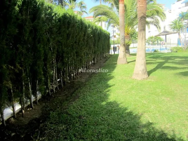 PISO FUENGIROLA CENTRO en FUENGIROLA — miniatura 17
