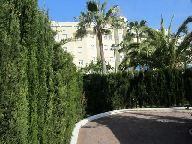 PISO FUENGIROLA CENTRO en FUENGIROLA — miniatura 9