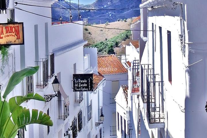 Alojamiento turístico CORTIJO TRIVIÑO en FRIGILIANA, MÁLAGA